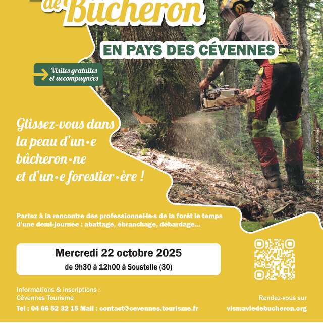 Vis ma vie de Bûcheron