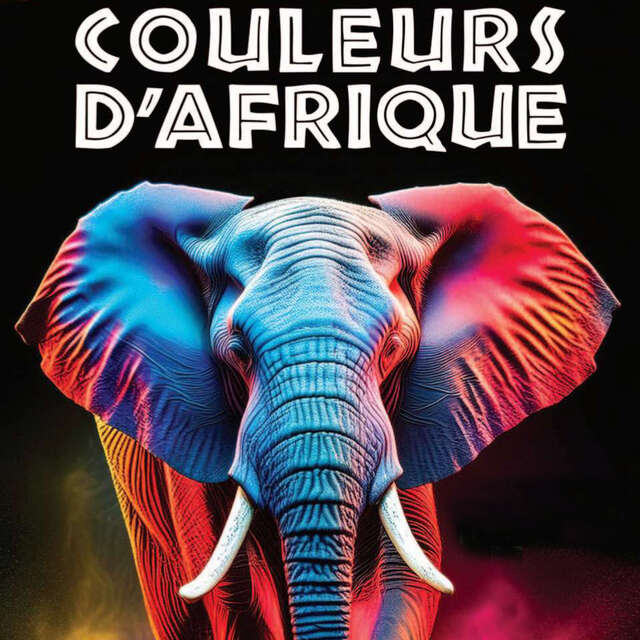 8ème Journée Villeneuve'Africa