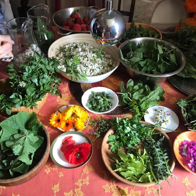 Les Aventurières du Goût - Découverte des fleurs et plantes sauvages gourmandes