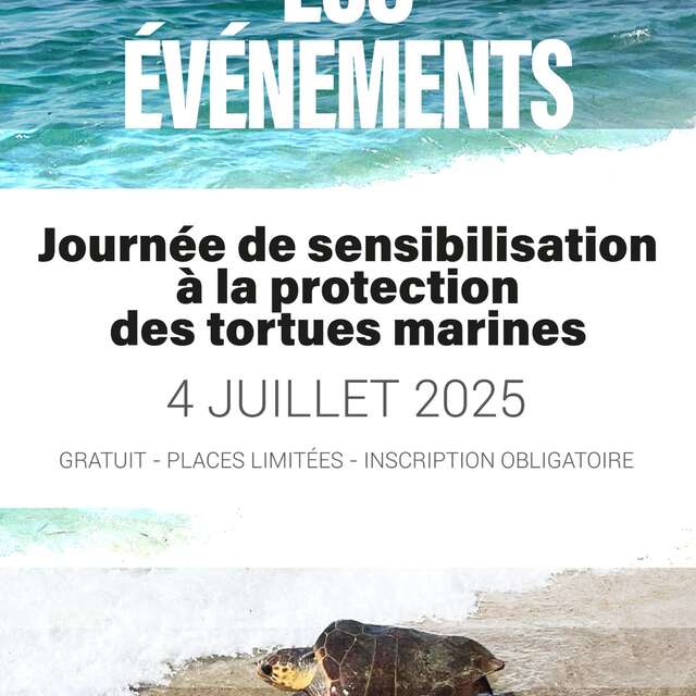 Les Grands Rendez-Vous du Parc : Tag der Meeresschildkröte