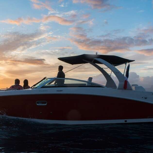 Tahiti Activities Center - Whale watching tour