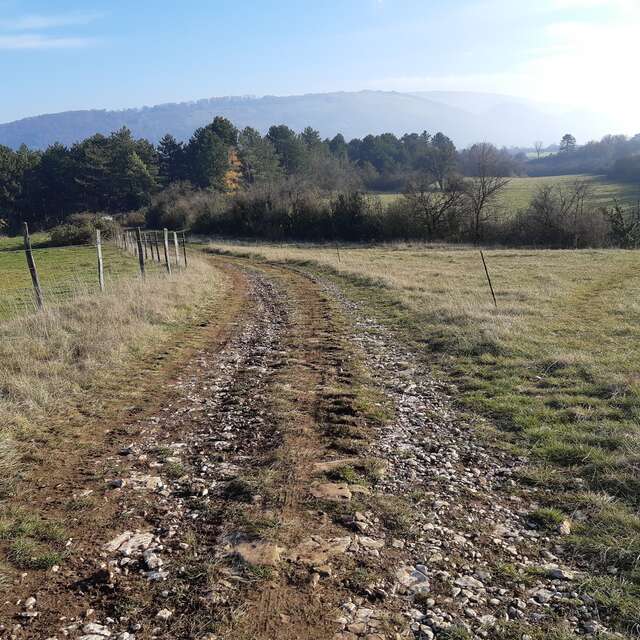 Randonnée - Tour du Mont Verjon