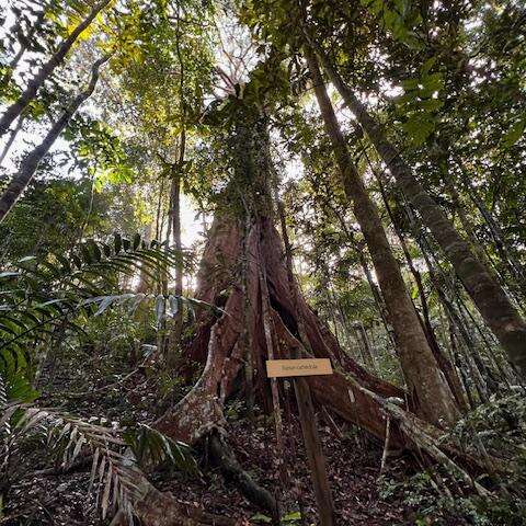 Mé Péou Walking Trail – Provincial Park of Grandes Fougères