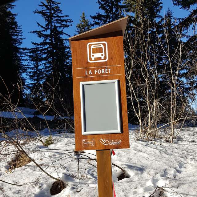 La forêt
