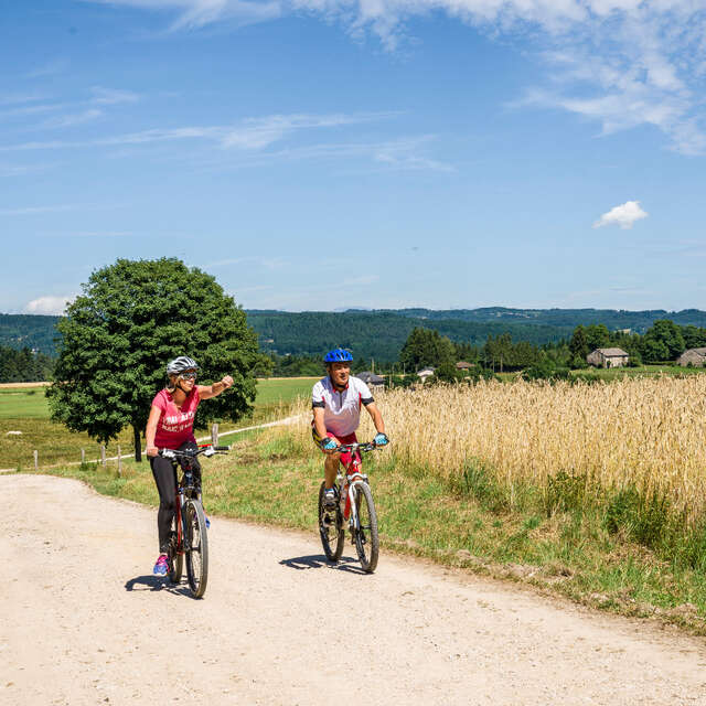 Location vélos tout terrain à assistance électrique