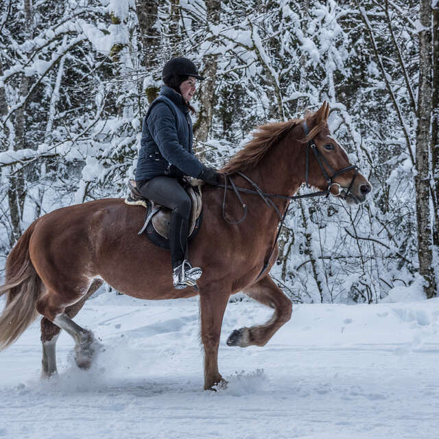 Reiten