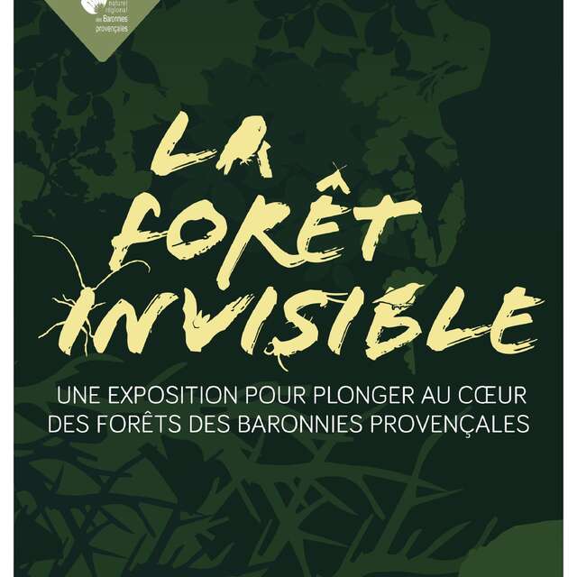 La forêt invisible