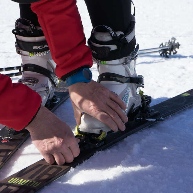 The Leash : Introductory ski touring trail