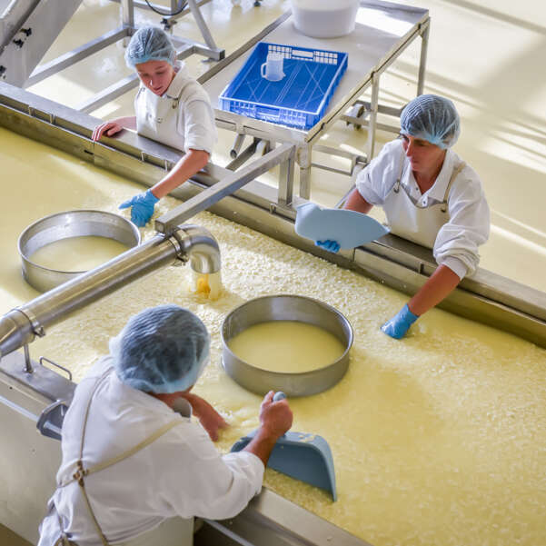 Entreprise laitière de Sauvain - fromagerie