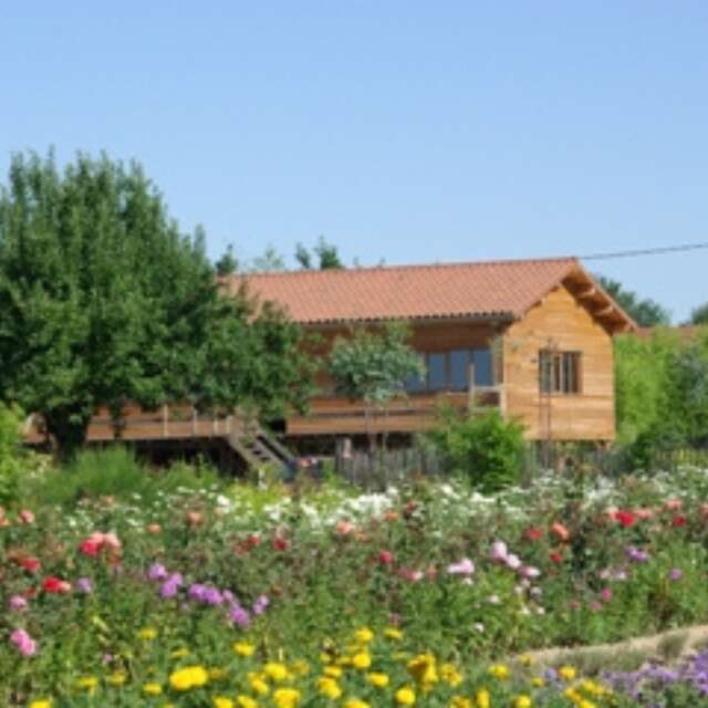 Fleurs et tisanes