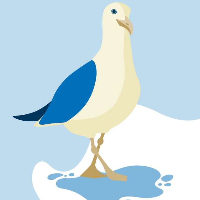 Jouer La Mouette