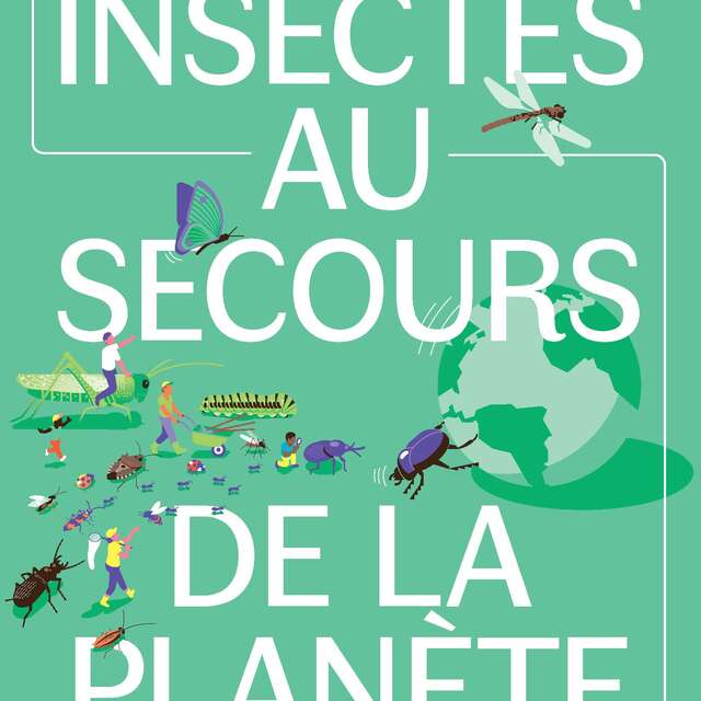 Exposition : Les insectes au secours de la planète