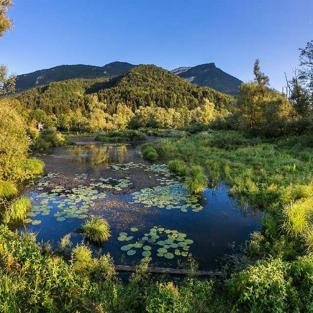 Espace Naturel Sensible des Tourbières de l'Herretang