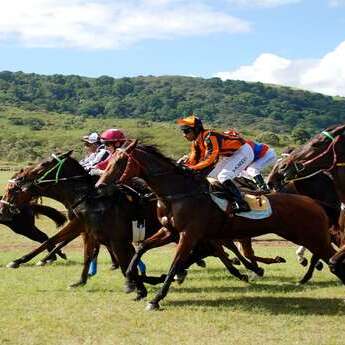 Fédération des sociétés de courses hippiques de Nouvelle-Calédonie