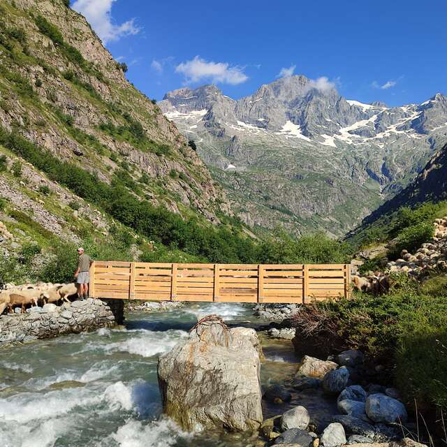 10ème Festival de l'alpage