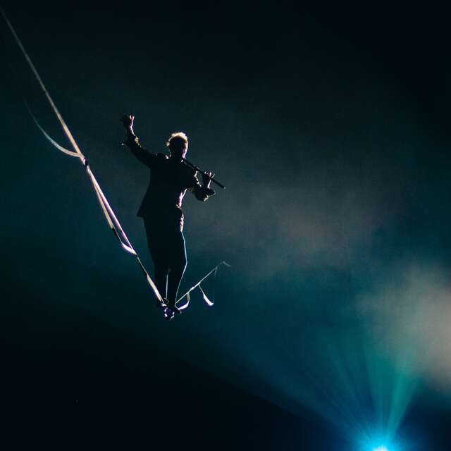 Spectacle Night swell