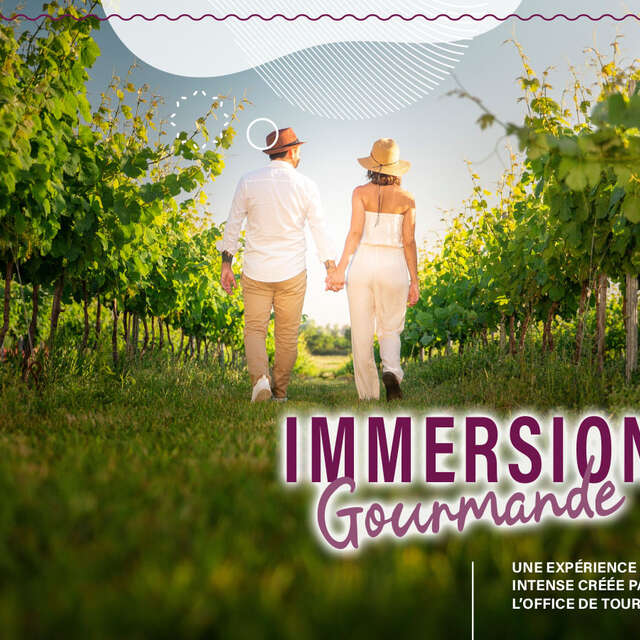 Immersion gourmande : Balade dans les vignes