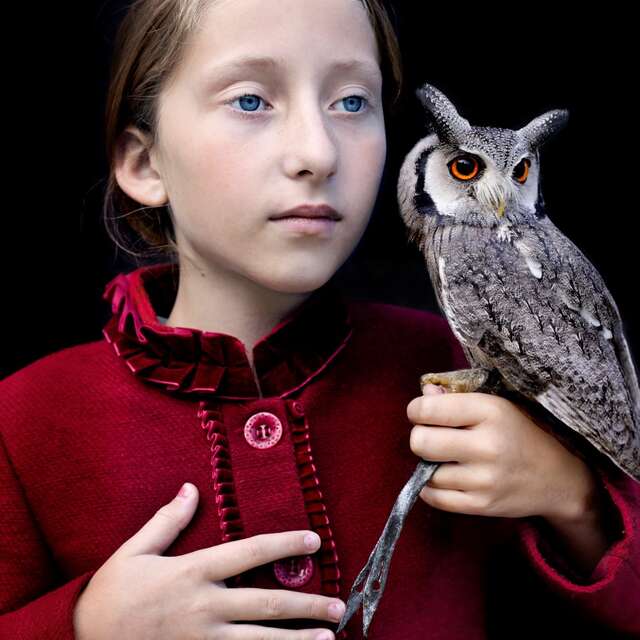 Exposition : Nouvelles acquisitions