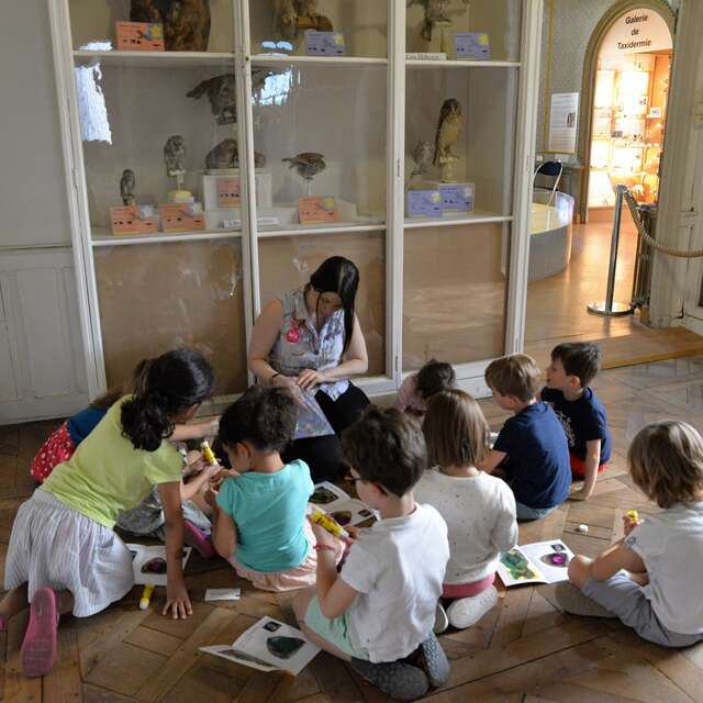 Fabrique ta chimère au muséum des sciences naturelles