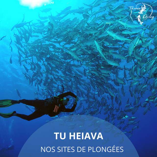 Tuamotu Plongée - Tikehau Plongée