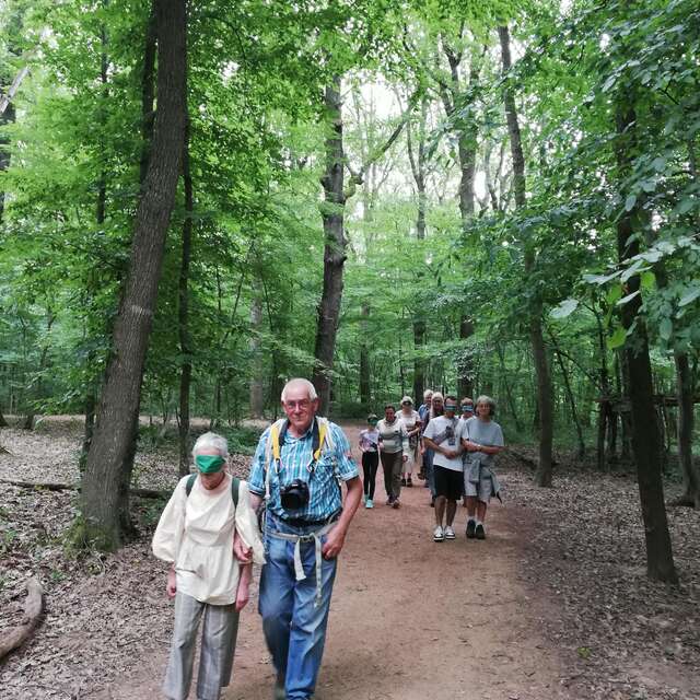 Liens de Nature _ Ateliers nature pour séniors de plus de 60 ans
