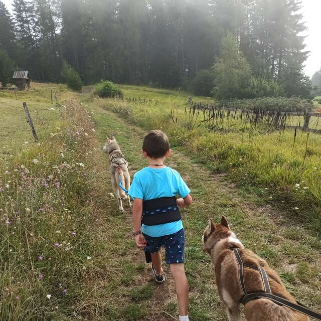 Petit aventurier