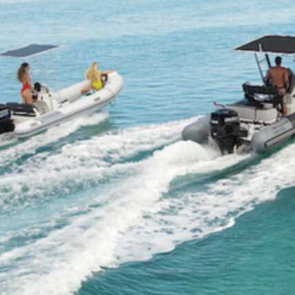 Eleuthera Plongée Tahiti - Whale watching tours