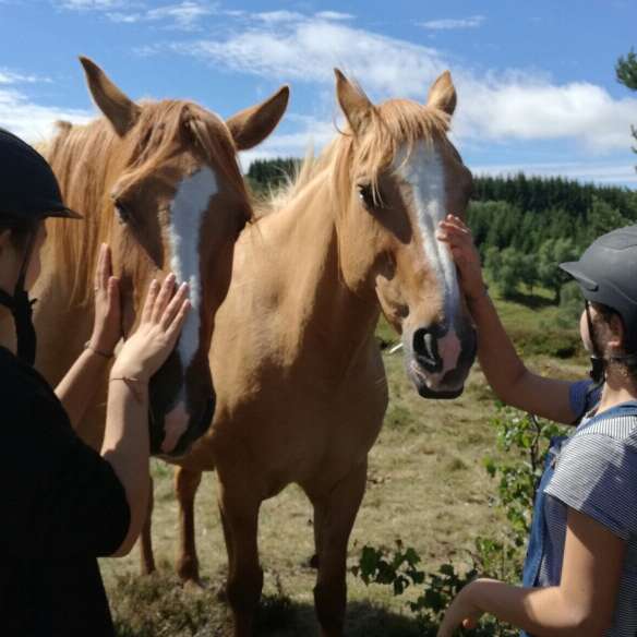 Balade à cheval - Ferme équestre de Montcodiol