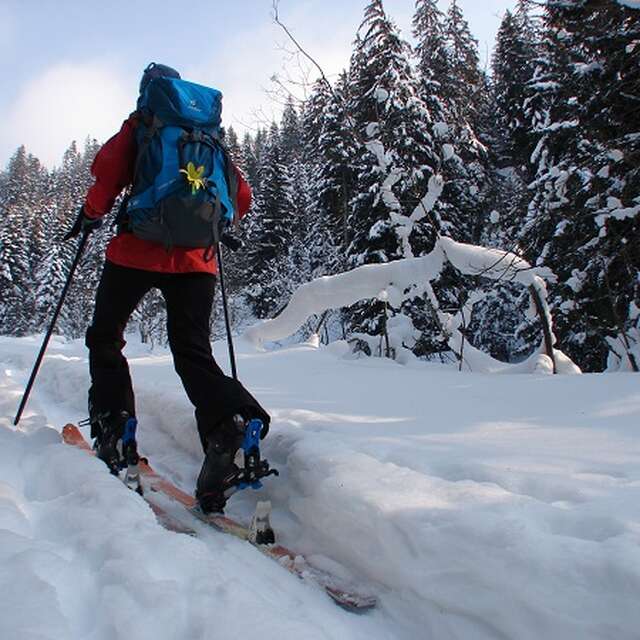 Nachtskitourenausflug