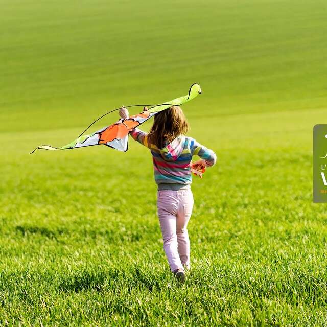 Secrets de cerfs-volants