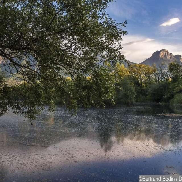 Espace naturel sensible du Bois de la Batie