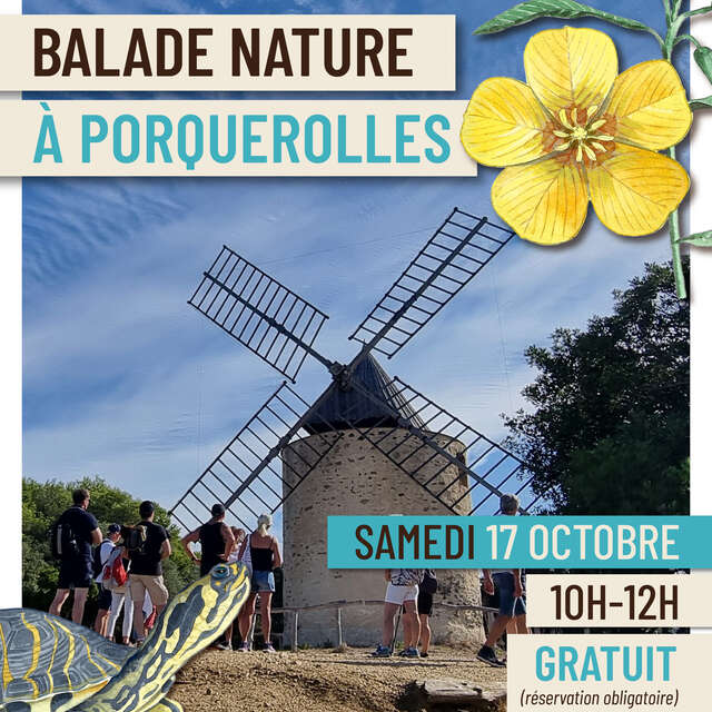 Balade nature à Porquerolles - Faune et flore d'ici... et d'ailleurs