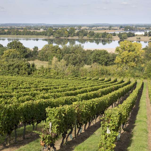 Visite - dégustation au Domaine de Gagnebert