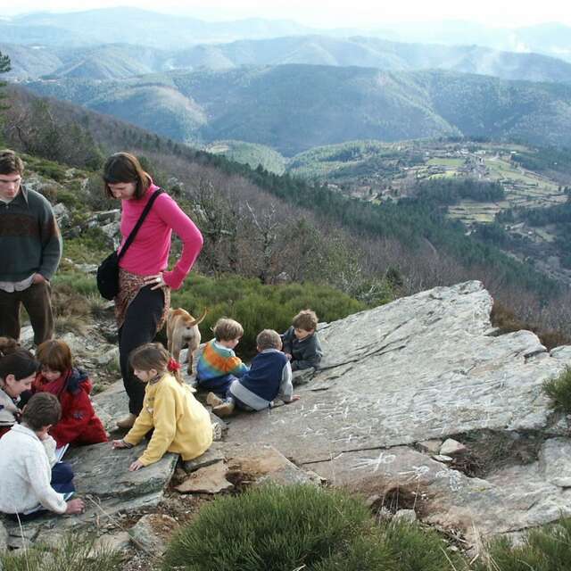 Rando FIRA : 1105 - A la découverte des roches gravées énigmatiques en Cévennes