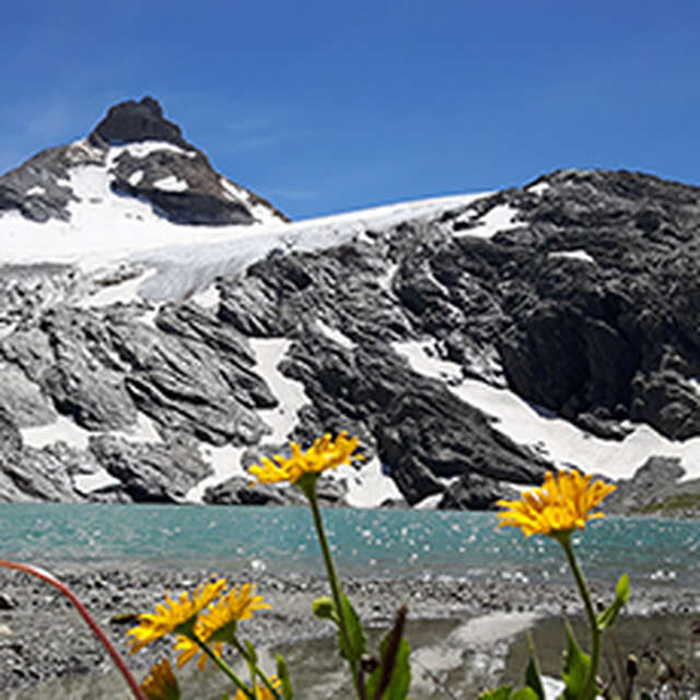 Randonnée montagne 1/2 journée Belledonne Evasion