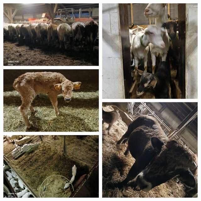 Visite du GAEC du Banc du Peyron