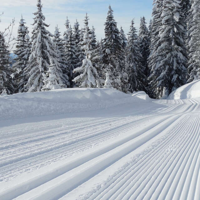 Domaine de Ski de fond Les Gets
