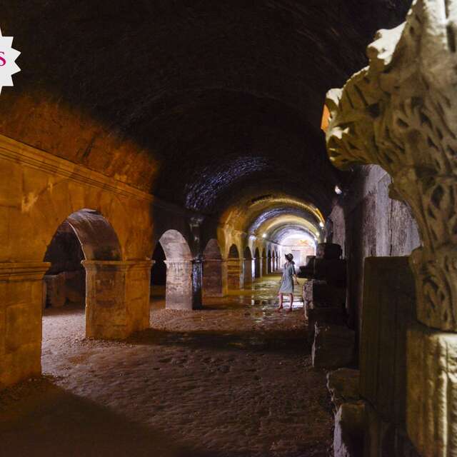 The Forum's cryptoportices