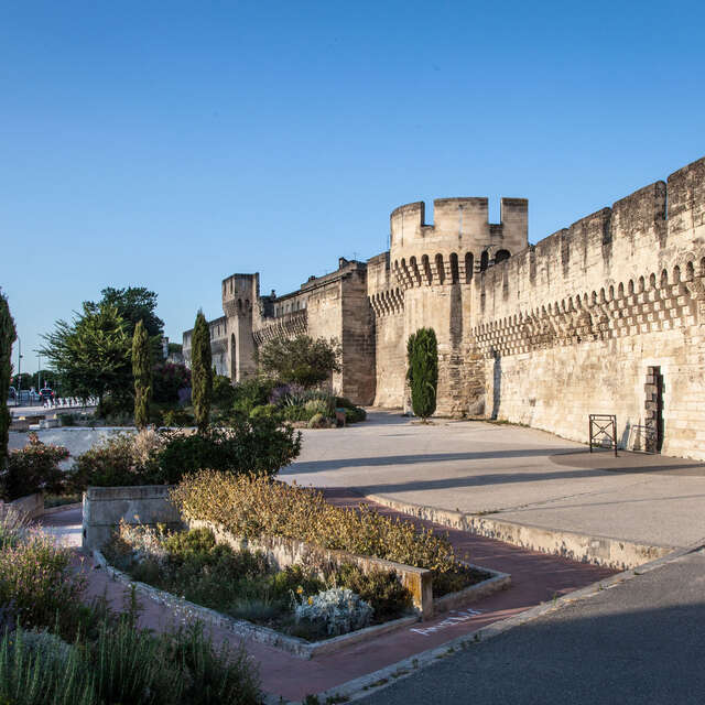 Ramparts around the walled city of Avignon
