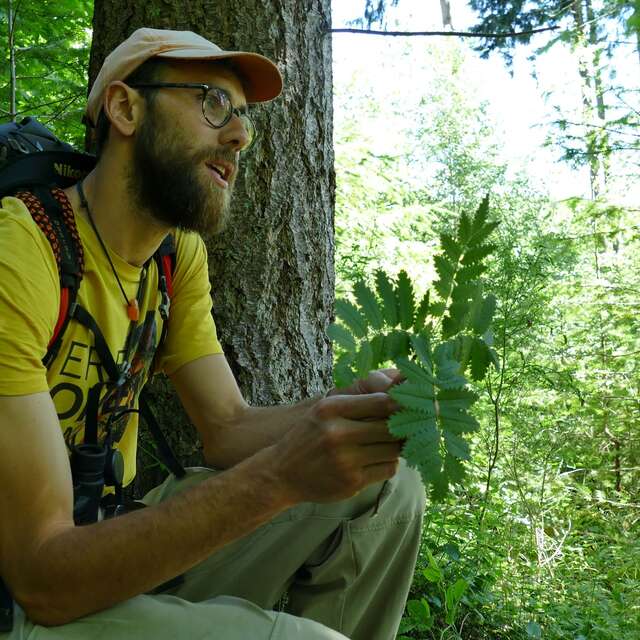La vie secrète des plantes / Balade Famille