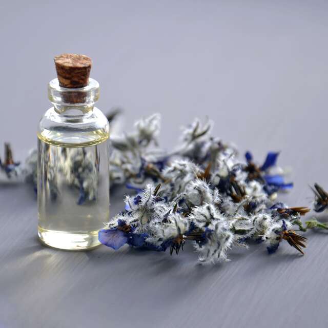 Atelier nature et création : Parfum de nature