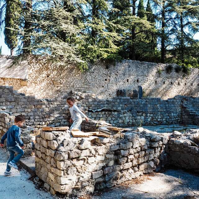 Family game "On the trail of partridge eggs".