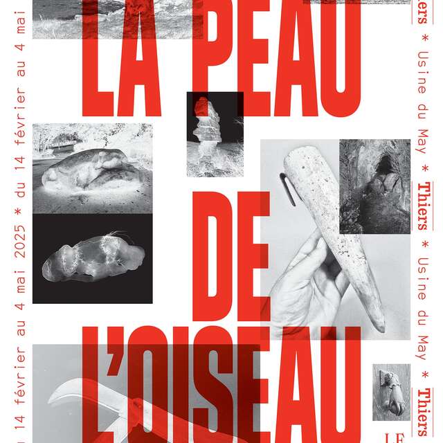 Exposition - La peau de l’oiseau