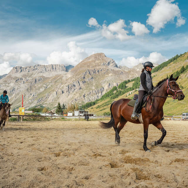 Horse riding school & & Pony Club