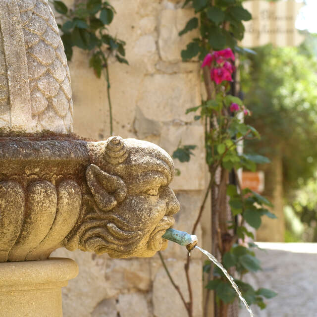 Provence by Anouchka
