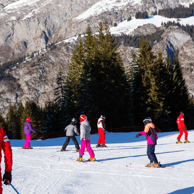 Children's alpine ski lessons