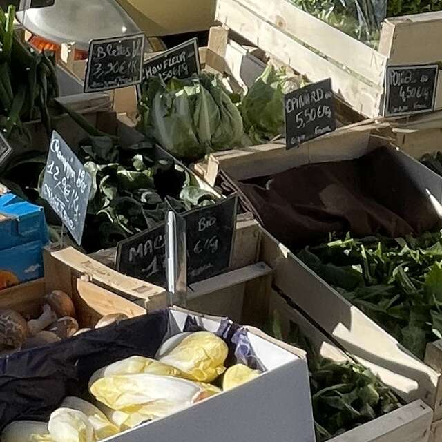 Marché de St Martin de Valgalgues