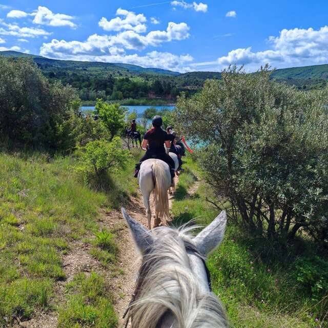 Balades et promenades à cheval avec L'Ecrin du Lac