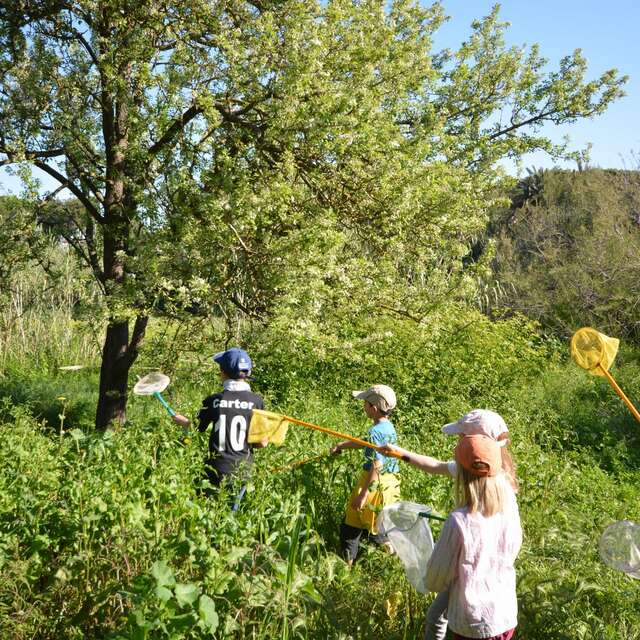 Le petit parcours dans le maquis (visite guidée spécial enfants)