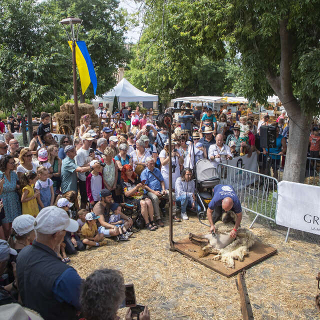 Foire de la Laine et des bergers